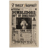 Harry Potter - Serviette torchon Daily Prophet : Dumbledore Daft or Dangerous?
