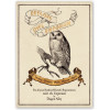 Harry Potter - Poster Eeylops Owl Emporium 50 x 69 cm