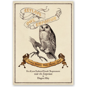 Harry Potter - Poster Eeylops Owl Emporium 50 x 69 cm