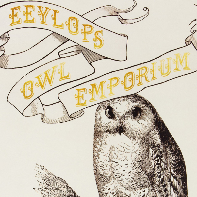 Harry Potter - Poster Eeylops Owl Emporium 50 x 69 cm