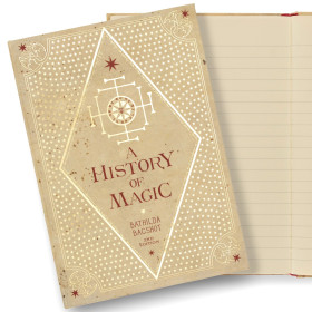 Harry Potter - Carnet journal A History of Magic