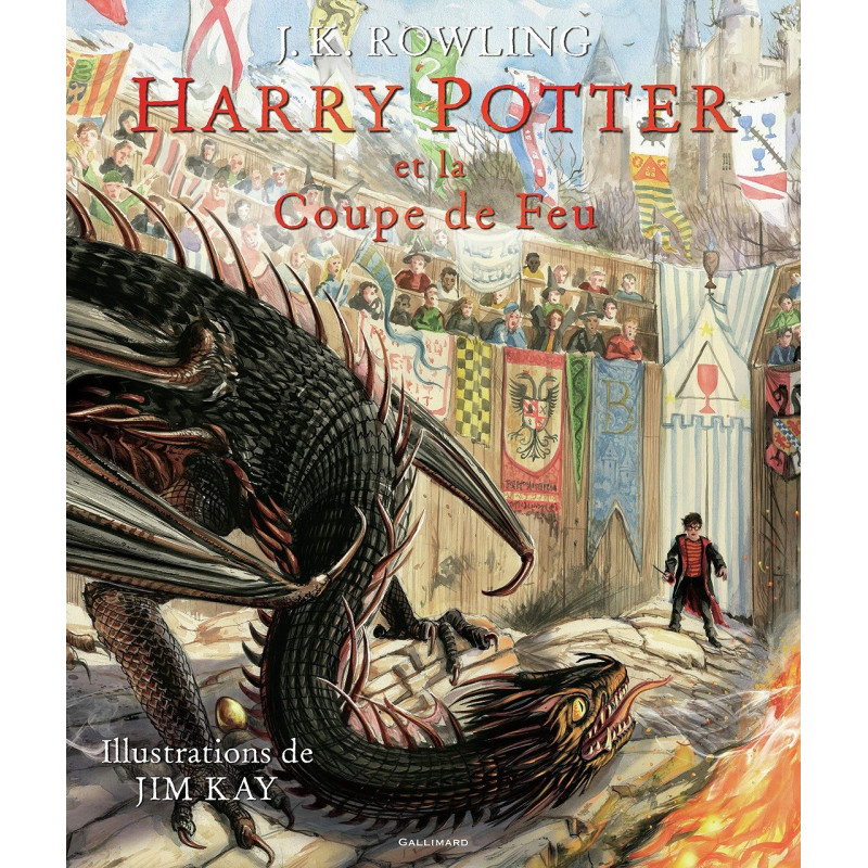 Harry Potter Tome 4 : Et la Coupe de Feu (illustré)