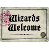 Harry Potter - Panneau métallique Wizards Welcome