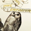 Harry Potter - Carte de voeux métallisée Eeylops Owl Emporium