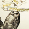 Harry Potter - Carte de voeux métallisée Eeylops Owl Emporium