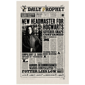 Harry Potter - Serviette torchon Severus Snape