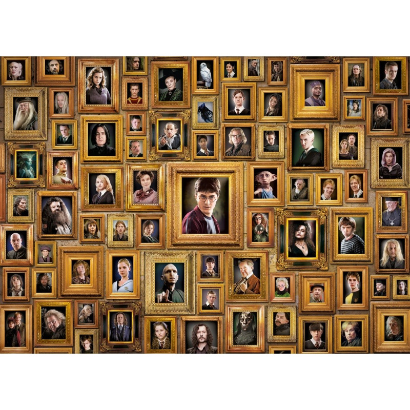 Harry Potter - Puzzle Impossible Portraits 1000 pièces