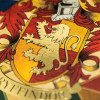Harry Potter - Carte de voeux métallisée Gryffindor