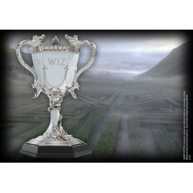 Harry Potter - Coupe des 3 Sorciers