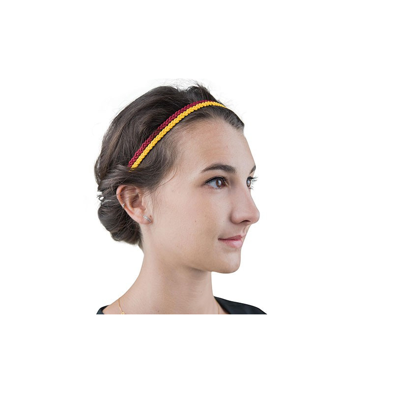 Harry Potter - Set de 2 accessoires pour cheveux Trendy : Gryffindor