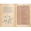 Batailles de Tolkien (par David Day)