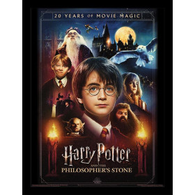 Harry Potter - Poster encadré 20 Years of Movie Magic (30 x 40 cm)
