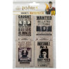 Harry Potter - Set de 4 aimants Wanted Harry, Lucius, Bellatrix & Sirius