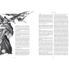 L'encyclopédie illustrée de Tolkien : Nouvelle édition (par David Day)