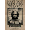 Harry Potter - grand poster Sirius Black Wanted