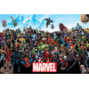 Marvel - Grand poster Universe