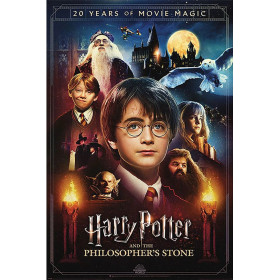 Harry Potter - grand poster 20 years of Magic (61 x 91,5 cm)