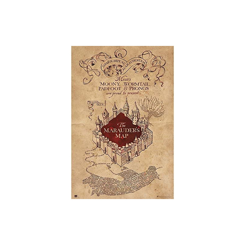 Harry Potter - Grand poster Marauder's Map (61 x 91,5 cm)