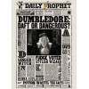 Harry Potter - Carte de voeux lenticulaire Dumbledore Daft or Dangerous