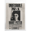 Harry Potter - Carte de voeux lenticulaire Harry Undesirable No.1