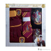 Harry Potter - Pack déguisement sorcier Gryffindor (adulte)