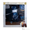 Harry Potter - Pack déguisement sorcier Ravenclaw (enfant)