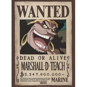One Piece - poster Wanted Blackbeard Mashall D. Teach (52 x 38 cm)