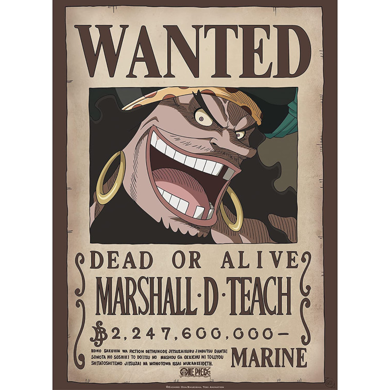 One Piece - poster Wanted Blackbeard Mashall D. Teach (52 x 38 cm)