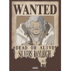 One Piece - poster Wanted Rayleigh (52 x 38 cm)