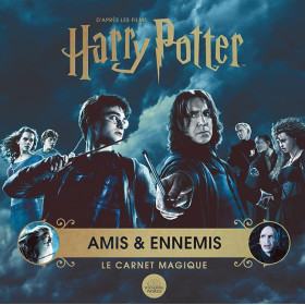 Harry Potter - Amis et ennemis: Le carnet magique