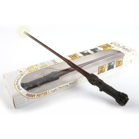 Harry Potter - Baguette Harry light painting