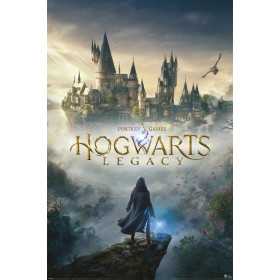 Hogwarts Legacy - Grand poster (61 x 91,5 cm)