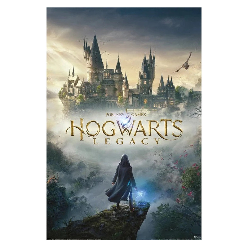 Hogwarts Legacy - Grand poster (61 x 91,5 cm)