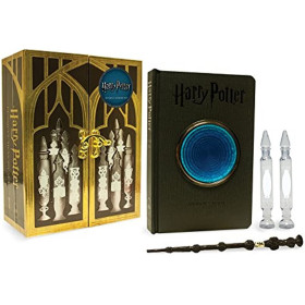 Harry Potter - Pensieve Memory Set (VO)