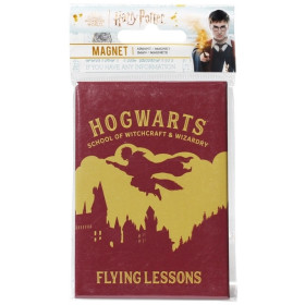 Harry Potter - Aimant Flying Lessons