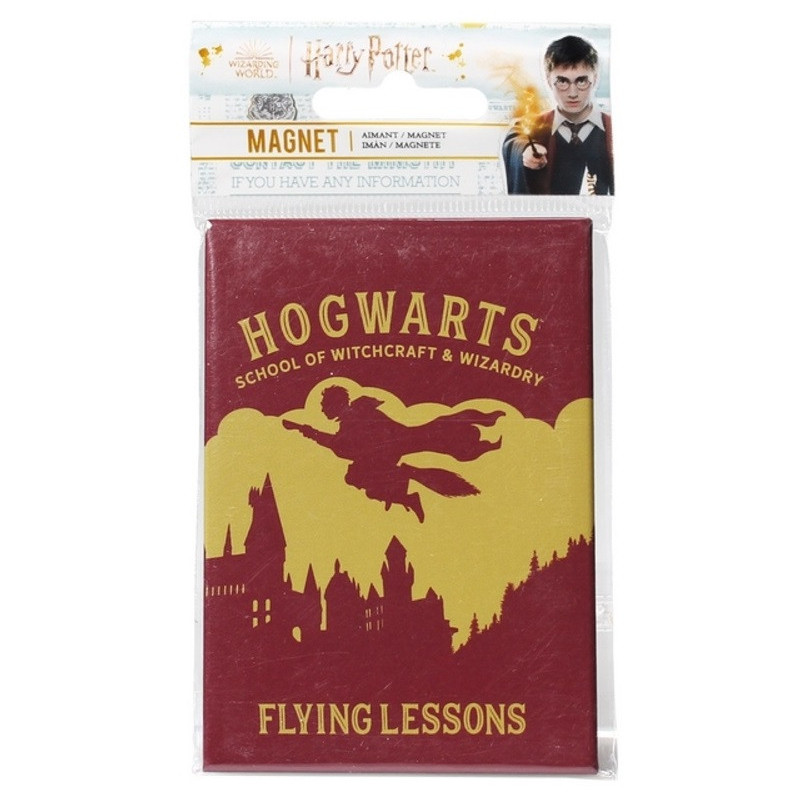 Harry Potter - Aimant Flying Lessons
