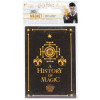 Harry Potter - Aimant A History of Magic