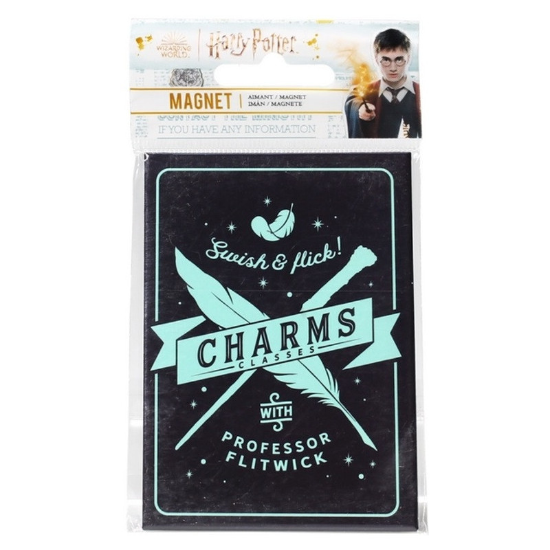 Harry Potter - Aimant Charms Class