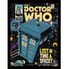 Doctor Who - poster encadré Lost In Time And Space (30 x 40 cm)