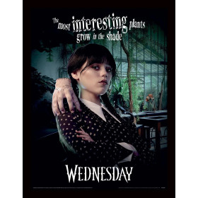 Wednesday - Poster encadré Shade (30 x 40 cm)