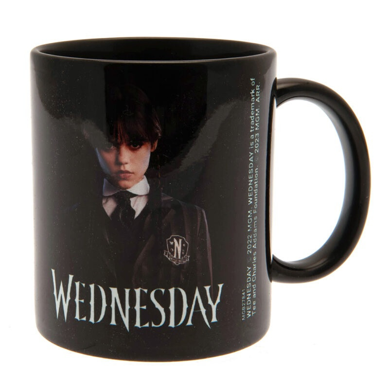 Wednesday - Mug Friendship