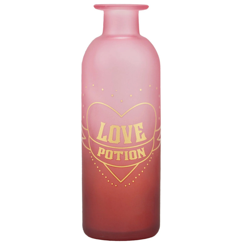 Harry Potter - Vase Love Potion