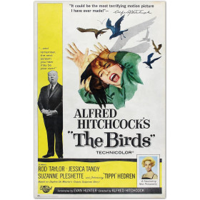 Hitchcock - Grand poster The Birds (61 x 91,5 cm)