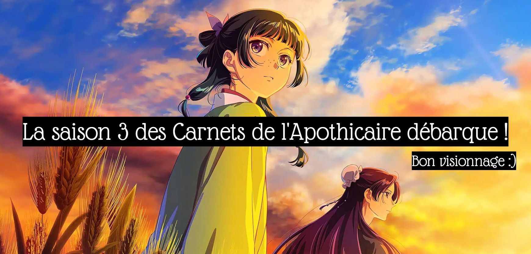 Carnets de l'apothicaire